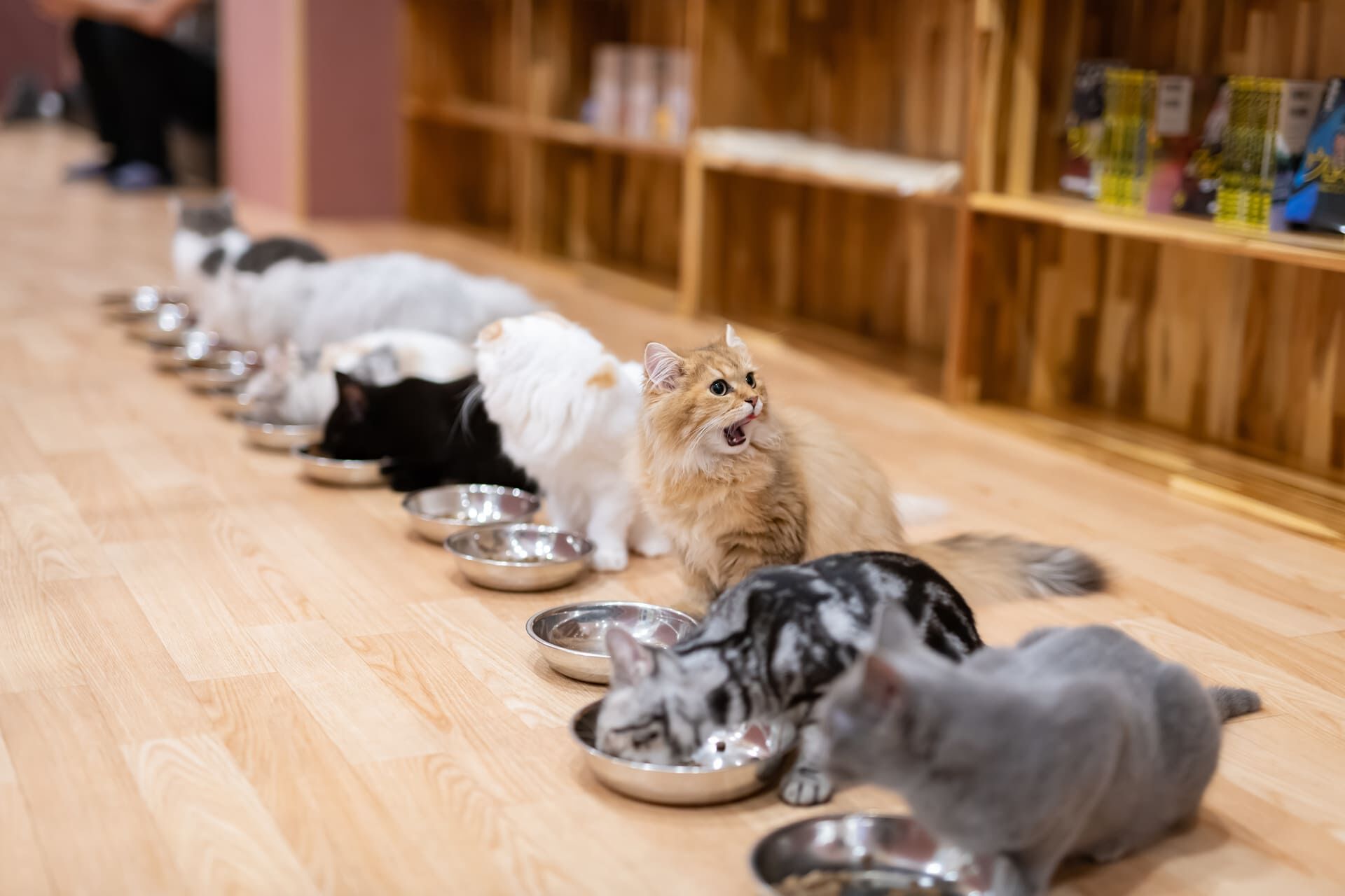 AdobeStock_291548874