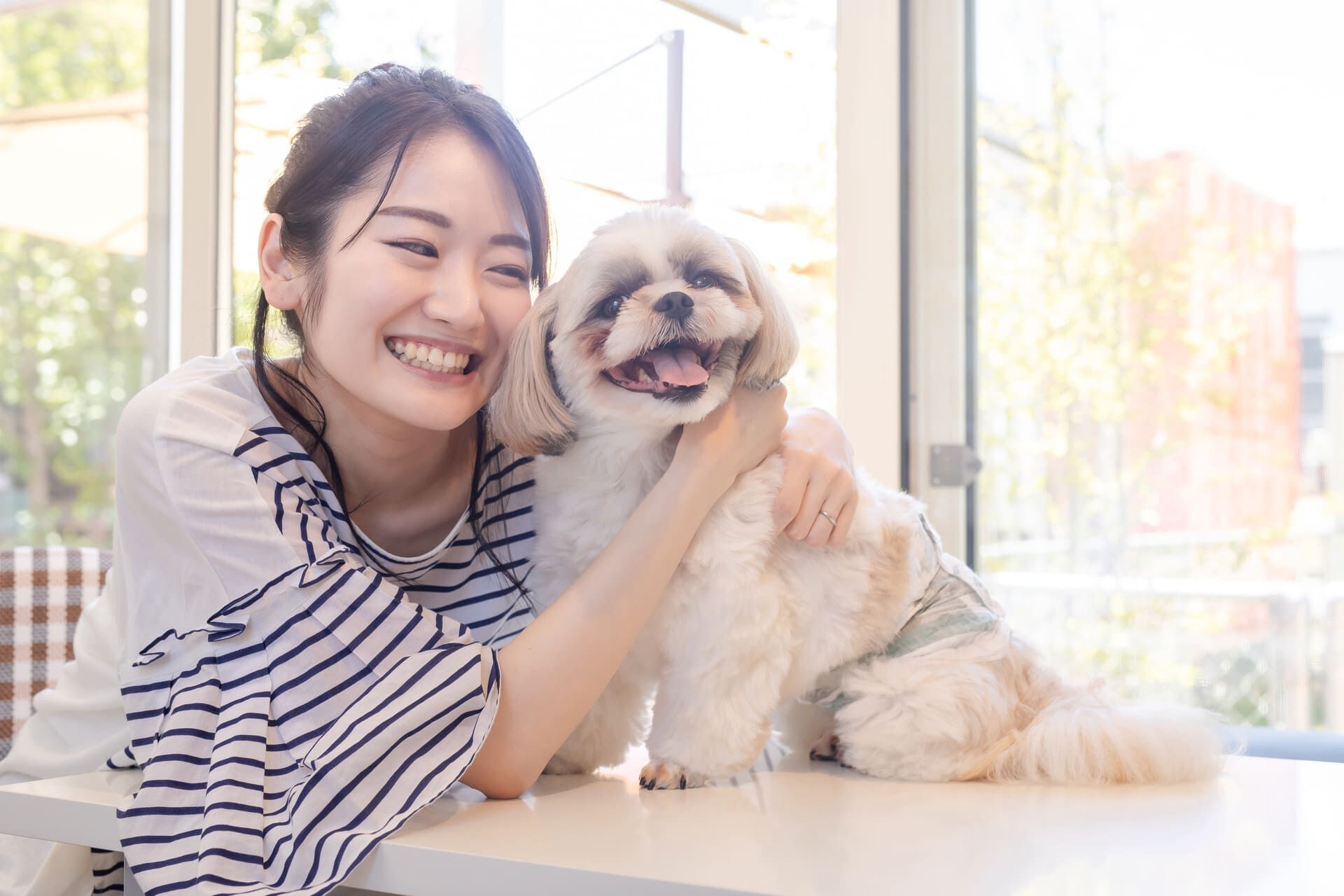 AdobeStock_384068049
